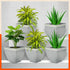 MYLA Metal Square Planters / Pots for Home / Garden / Balcony | Medium – Ash Grey & White - Set of 5